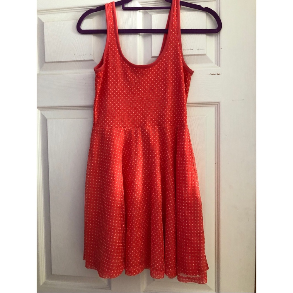 American Rag Fit and Flare Dress